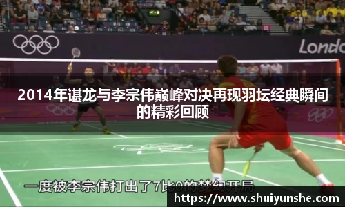 2014年谌龙与李宗伟巅峰对决再现羽坛经典瞬间的精彩回顾